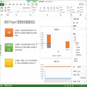 Office Project Professional 2007 简体中文