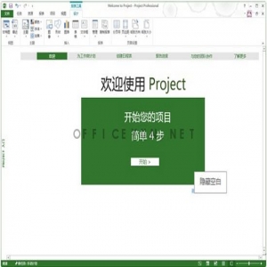 Project Professional 2013 (x86 and x64) 简体中文